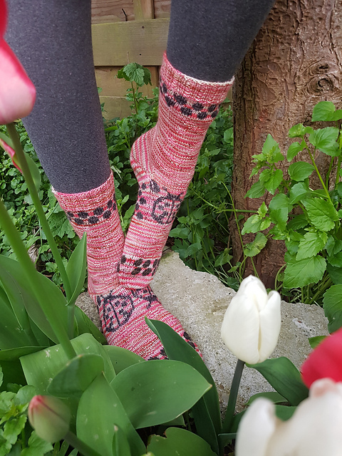Mother Ladybird Socks