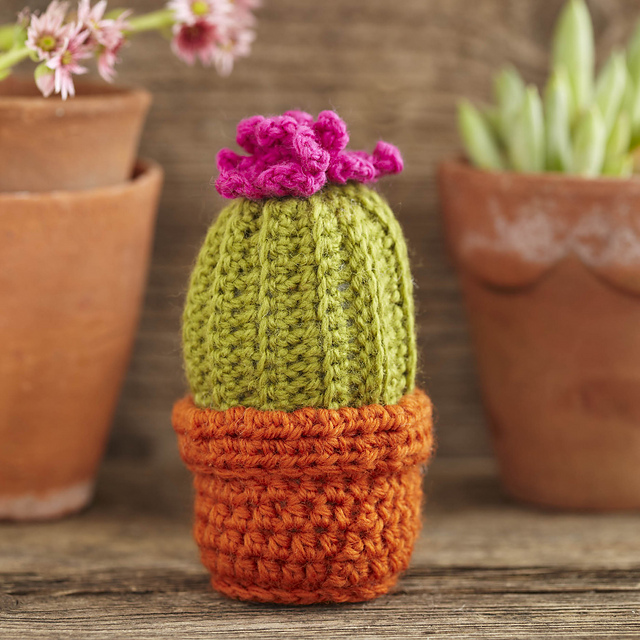 Crochet Cactus