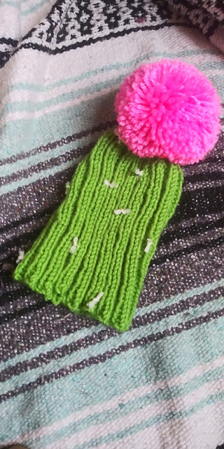 Knit Cactus Beanie