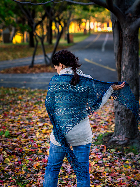 Taïga Shawl