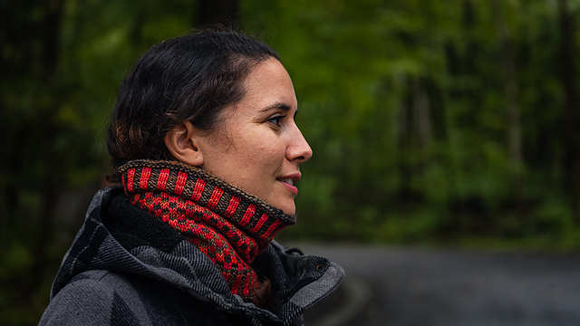 Arlequin Cowl