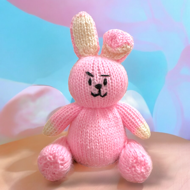 Cooky BT21 chocolate orange cover / toy