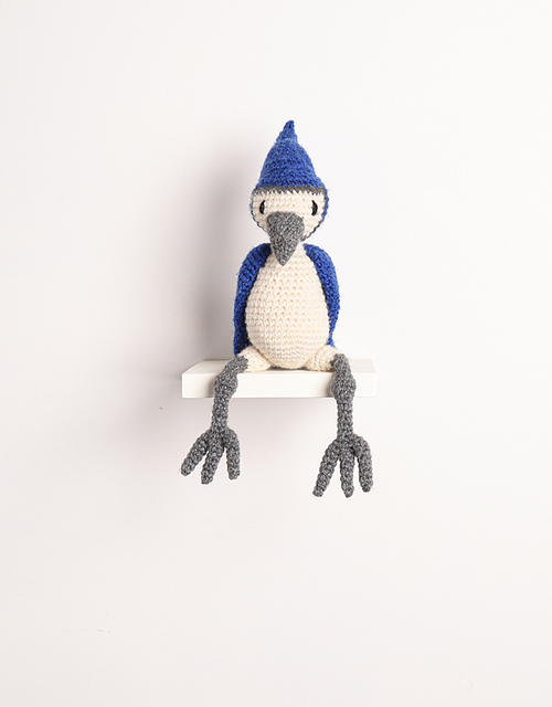 Jorge the Jay