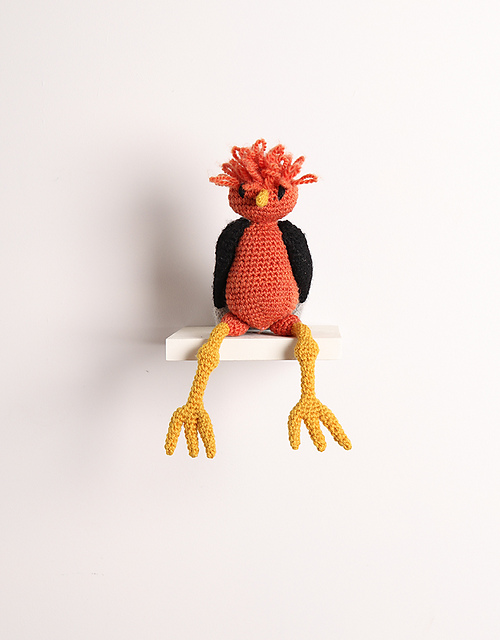 Mateo the Cock of the Rock