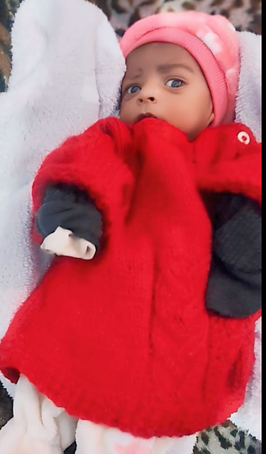 Pari DK Easy Baby Jumper