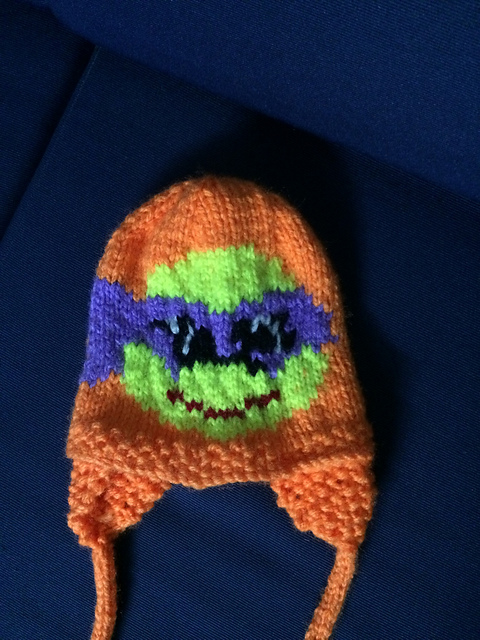 Donatello Ninja Turtle Hat