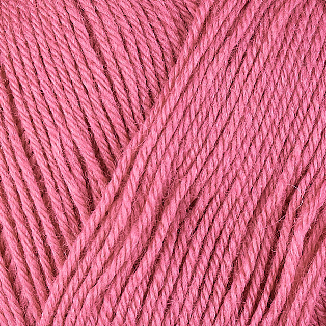 Mystery Beginners Socks 2023