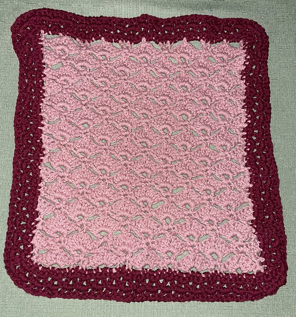 Dishcloth #11
