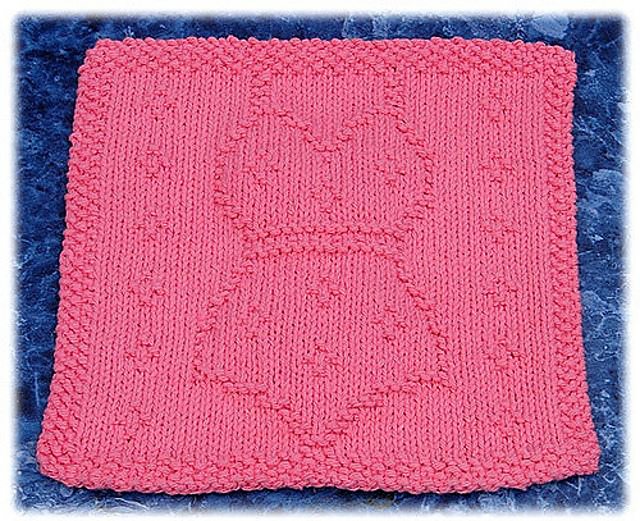One Piece Swim Suit Dishcloth