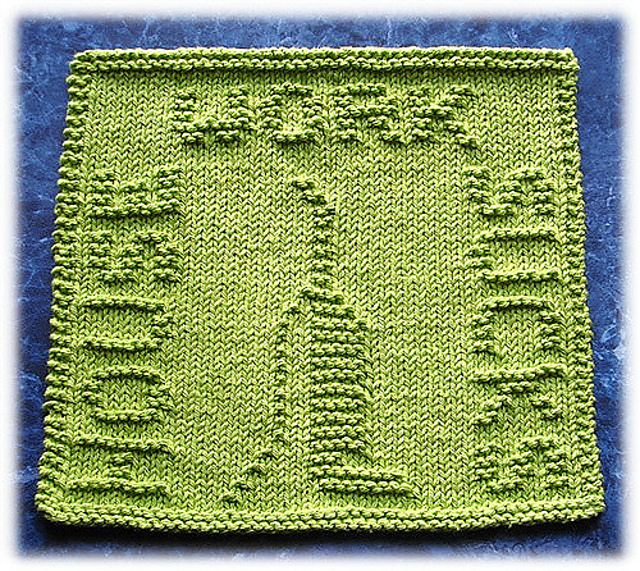 Housework Sucks Dishcloth