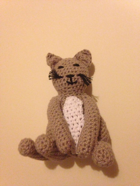 Hannah's Cat