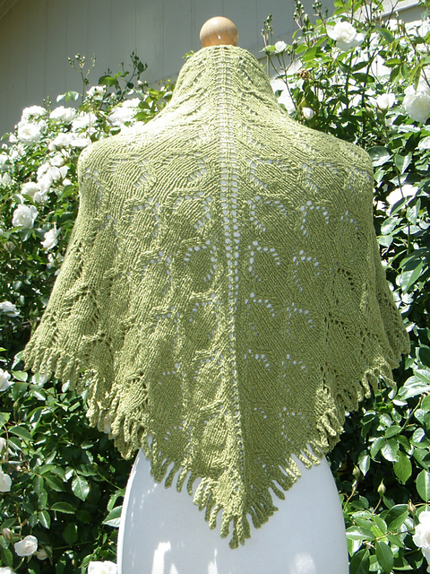 Saguaro Shawl