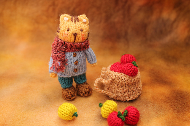 Autumn Cat