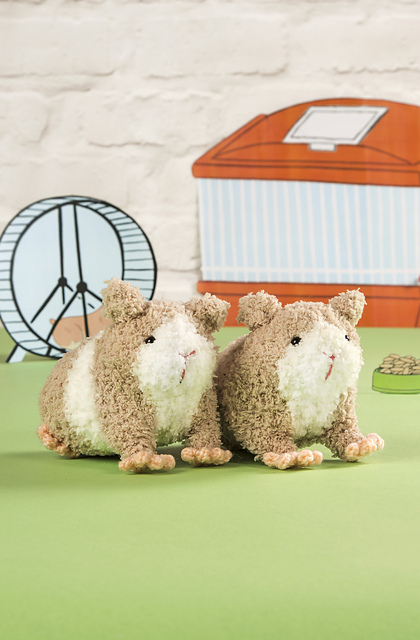 Little fleecy guinea pigs
