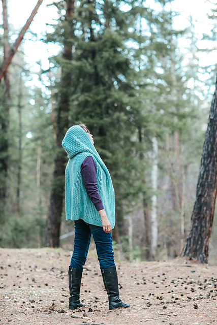 Hooded vest