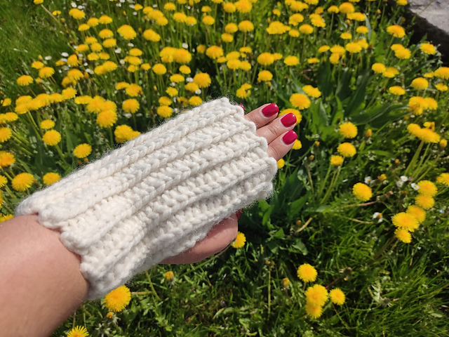 Mittens or Hand Warmers