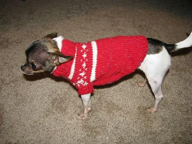 Christmas Chihuahua Sweater