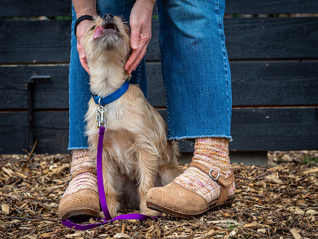Bobo's Socks
