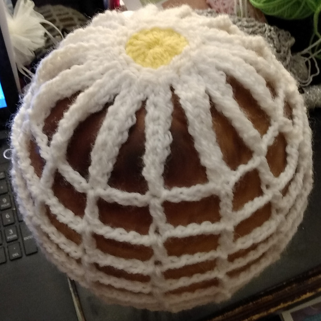 Sandra's Daisy Beanie