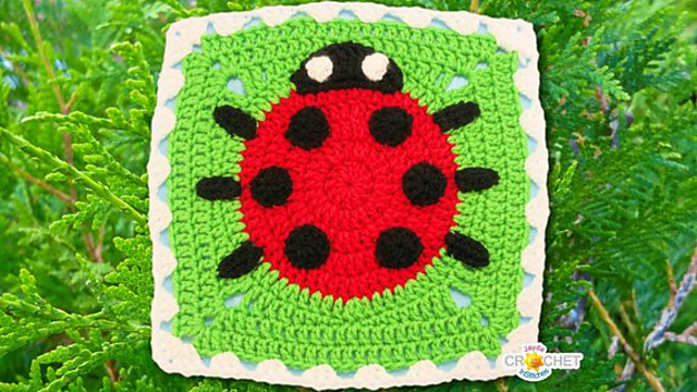 Ladybug Square