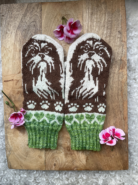 Shih tzu