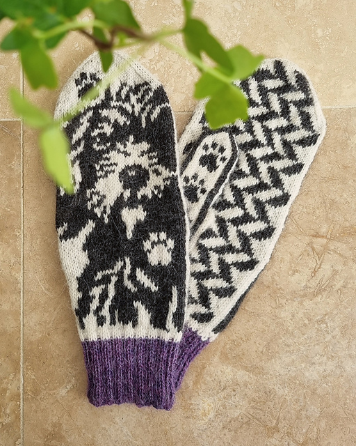 Cockapoo