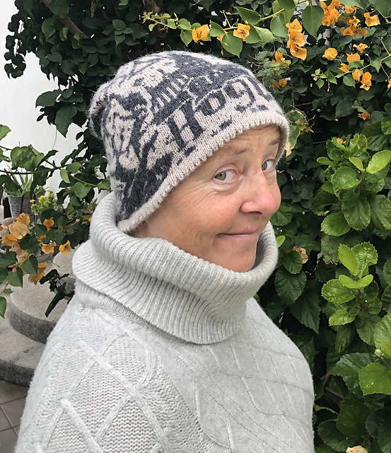 HP beanie