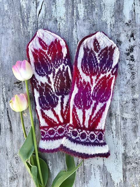 Tulip garden