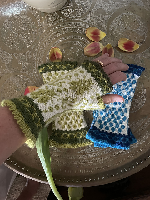 Skarabé fingerless