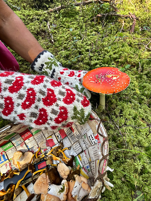 Mushroom parade