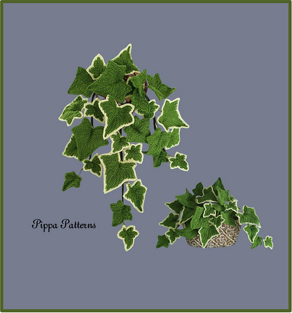 Ivy