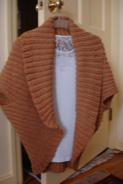 Knitted Turtleback Design