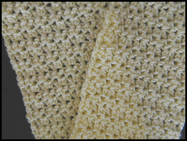 Crunch Shell Scarf