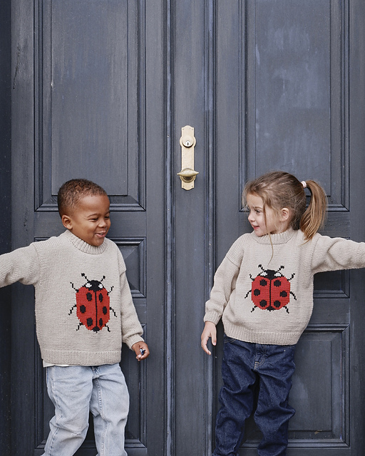 Ladybug Sweater