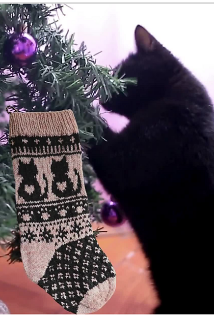 Kitty Christmas Stocking