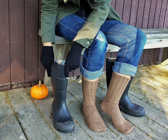 Harvest Days Sock 3