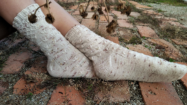 Mellifera Sock