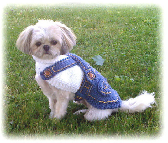 Dungarees Doggy Sweater