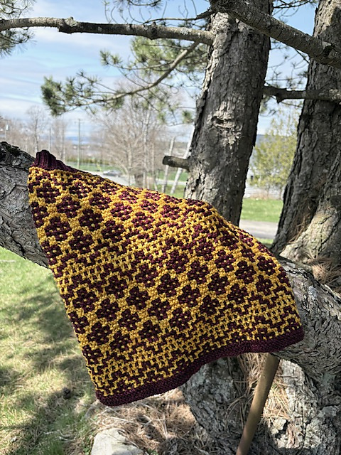 Jewels Cowl