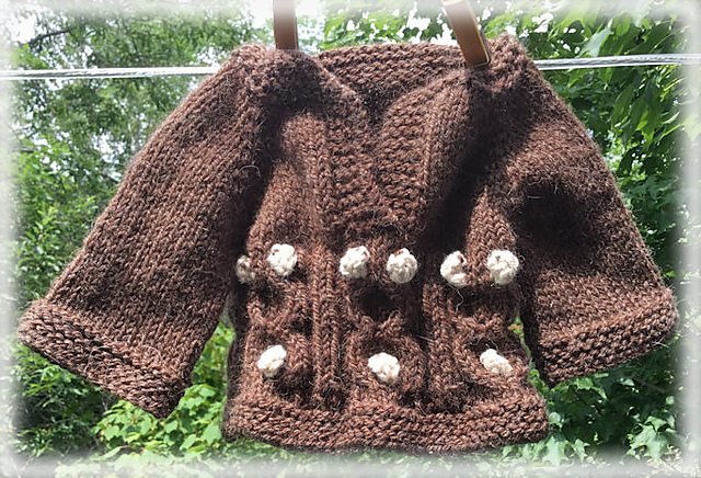 Teddy Bear Picnic Pullover