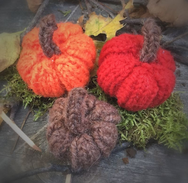 Pumpkin Patch