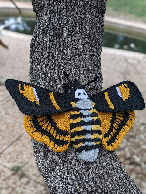 Death's Head Hawk Moth
