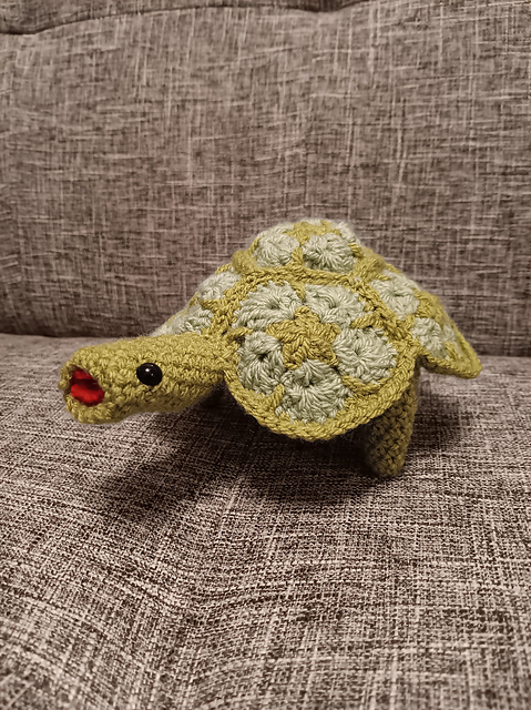 Tortellini African Flower Tortoise