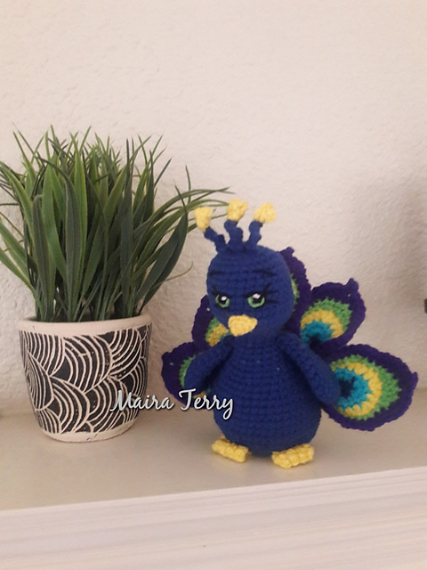 Miss Posh the Peacock