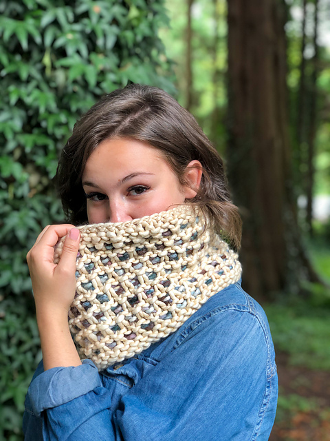 Pritchard Park Cowl