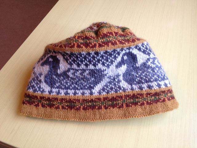 Cinnamon Teal Ski Hat