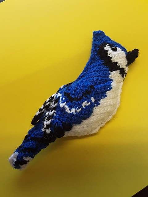 Blue Jay Pocket Pal