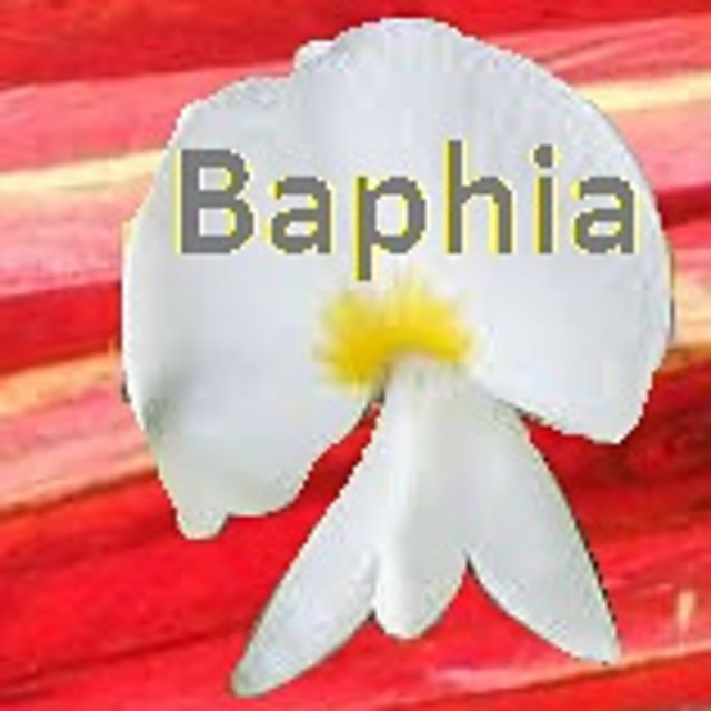 Baphia
