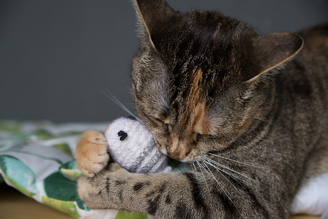 Cat toys from yarn scraps