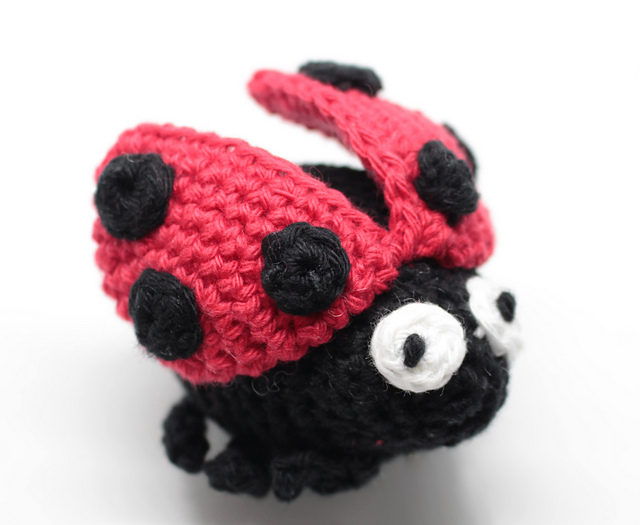 Ladybug
